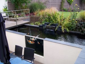 31+ berbagai desain kolam ikan minimalis untuk rumah